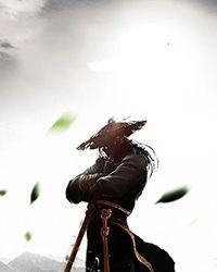 护花野蛮人 柳儿