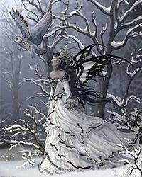 福晋擅长以武服人